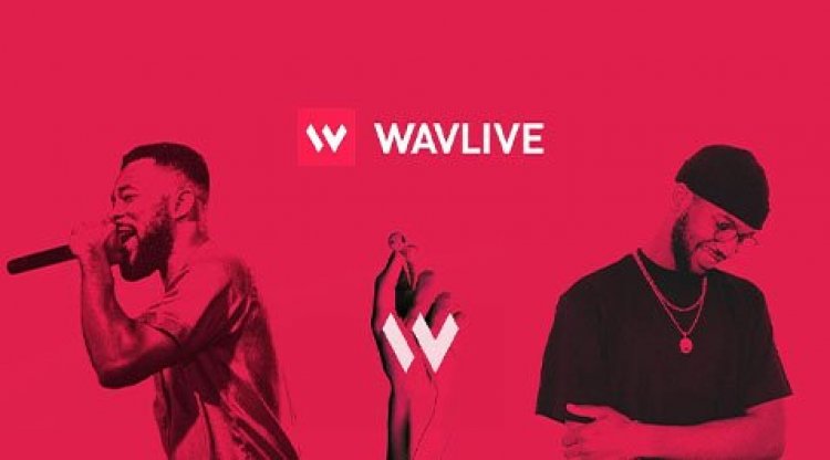 WavLive : la plateforme de streaming équitable !