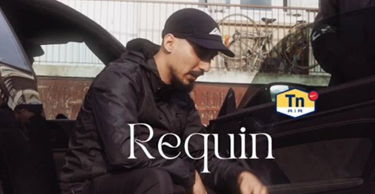 Benab – Requin